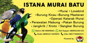 desain-spanduk-jakarta-selatam desain-spanduk-jakarta-selatam